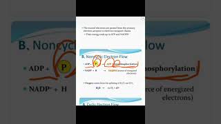 PhotosynthesislLight Reaction69lCyclic and Non cyclic Photophosphorylation ‎botanysolution4054 [upl. by Ellenrahc]