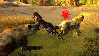 The Life of a Hyena  Animalia Survival [upl. by Helga]