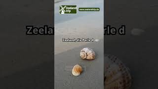 Zeeland die Perle der niederländischen Küste zeelandtrip zeeland urlaubinholland strandurlaub [upl. by Ramad424]