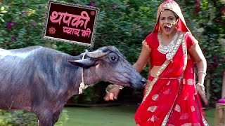 Thapki Gets Scared Of A Buffalo  Thapki Pyar Ki  थपकी प्यार की  TellyMasala [upl. by Gavin585]