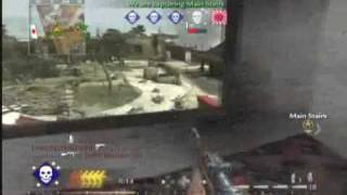 CoDWorld at War  Flawless Victory [upl. by Irtemed9]