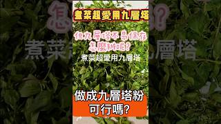 保存九層塔，這樣做行嗎？生活小秘招 [upl. by Eseila655]