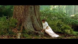 Tuck Everlasting Full Movie Facts And Review  Alexis Bledel  Ben Kingsley [upl. by Sawyere]