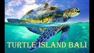 Turtle Island Bali Travel Educational Walkthrough Tour [upl. by Ibbob]