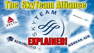 Reimagining Global Air Travel What is the SkyTeam Alliance [upl. by Enecnarf486]