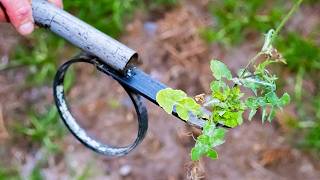 Este Verano PREPARATE Hacete le FAVOR y Fabrica este saca yuyos casero para TU JARDIN [upl. by Poliard]