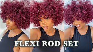 HOW TO Quick amp Easy FLEXI ROD SET on DRY HAIR  NATURAL HAIR 4a3c [upl. by Razal378]