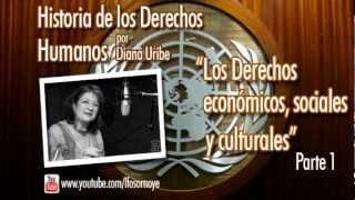 11 Los Derechos sociales económicos y culturales Parte 1 Historia de los Derechos Humanos [upl. by Kohcztiy]