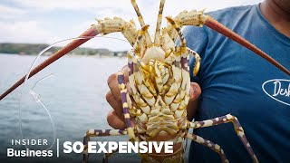 Why 6 Of The Worlds Priciest Seafoods Are So Expensive  So Expensive  Business Insider [upl. by Claretta]