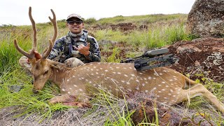 Lanai Axis Deer Archery State Hunt 2023 [upl. by Bitthia]