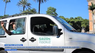 Fábrica vai produzir mosquitos especiais para combater a epidemia de dengue em Curitiba [upl. by Allisurd]