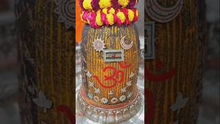 Mahakal today darshanshortvideos viralfoodandgreatcreator2444 [upl. by Aric20]