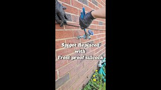 Spigot replaced with Frost Proof Sillcock [upl. by Feune]