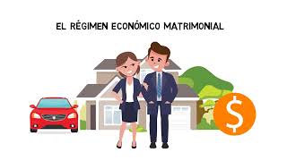 LOS REGÍMENES ECONÓMICOS MATRIMONIALES GANANCIALES SEPARACIÓN DE BIENES Y PARTICIPACIÓN [upl. by Ranzini]