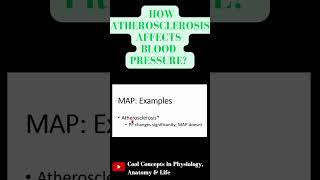 How atherosclerosis affects Blood Pressure shorts youtubeshorts youtube ytshorts [upl. by Yeldud626]