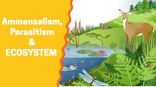 Amensalism Parasitism amp Ecosystem Explained Environmental Biotechnology [upl. by Launam583]