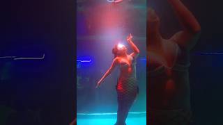 Beautiful Mermaid Dance 😍 mermaid trendingshorts ytshorts youtubeshorts [upl. by Anilejna]