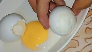 Boiling eggs Coddled eggs Soft cook eggs Medium cook eggsSchool Project [upl. by Waugh893]