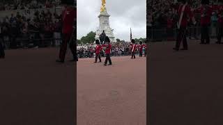 Buckingham palace parade [upl. by Huber994]