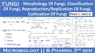 Fungi  Morphology of fungi  Classification of fungi  Reproduction of fungi  Cultivation of fungi [upl. by Dionne485]