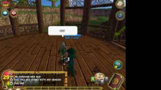 Wizard101PET BUG [upl. by Evante]