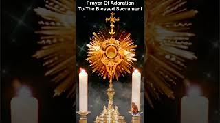 Prayer of Adoration to the Blessed Sacrament [upl. by Epul]