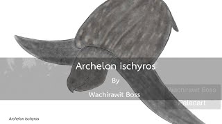 Speedpaint Archelon ischyros [upl. by Domineca]