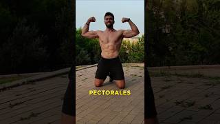 DEJA DE TENER UN PECHO DE PALOMO CON ESTOS EJERCICIOS 🔥 calisthenics calistenia pushups chest [upl. by Trebmer]