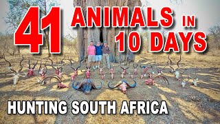 41 Animals in 10 Days  South Africa  quotSafari Abroadquot  Sandstone Safaris [upl. by Pruchno175]