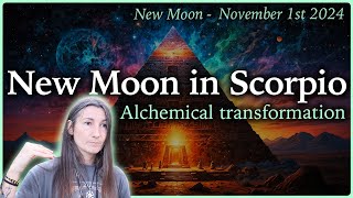 New Moon in Scorpio  November 1st 2024  Moon Omens [upl. by Rozina]