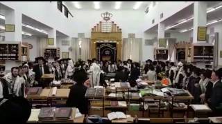 Purim In Yeshivas Mir Jerusalem 2017  פורים בישיבת מיר ירושלים [upl. by Nylzaj]