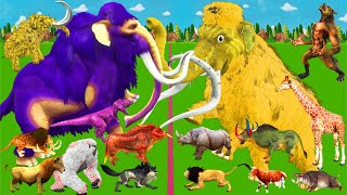 Modern Mammals vs Cenozoic Animals Size Comparison Mammoth TRex Vs Elephant Lion Animal Epic Battle [upl. by Oriole341]