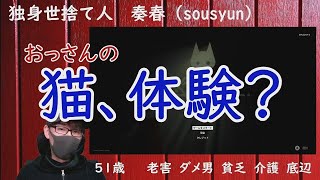 STRAY XBOX版 初老おっさんのゲームで独り言 独身 50代 アラフィフ 結婚ができない男 ゲーム チャンネル移動 [upl. by Euqirne]