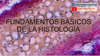 Fundamentos Básicos de la Histología  Curso en Línea 1001 [upl. by Sirdi]