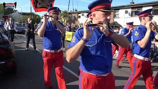 Banbridge RBDC No 6  County Down Last Saturday Return Parade 2024 [upl. by Beutler391]