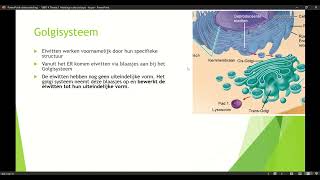 Klas 4 VWO Thema 1 Inleiding in de biologie basisstof 4 organellen deel 2 [upl. by Ikairik]