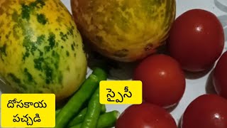 నోరూరించే దోసకాయ పచ్చడి ll how to make dosakaya pachadi ll induvaddipalli [upl. by Alahc]