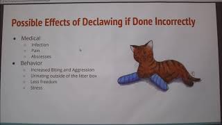 Declawing in Cats ProsCons [upl. by Ednihek859]