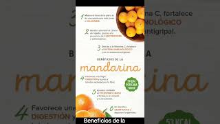 Beneficios de la mandarina [upl. by Pedrick367]