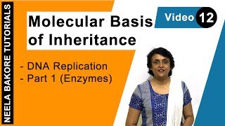 Molecular Basis of Inheritance  NEET  DNA Replication  Part 1 Enzymes  Neela Bakore Tutorials [upl. by Westhead146]