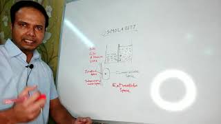 Osmolarity Basics of Shock and electrolyte imbalance Hindi [upl. by Keefe]