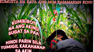 KUMIKIROT NAKAHIT MALAYO NA AKONANJAN PARIN SILA NAGHAHANAP SA AKINgcash 09534626622 [upl. by Hayward]