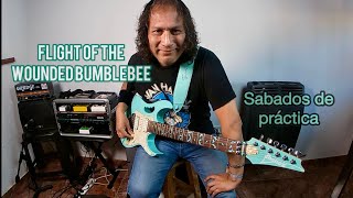 Flight Of The Wounded Bumblebee ibanez guitarra guitarraelectrica delay extreme [upl. by Kcirb]