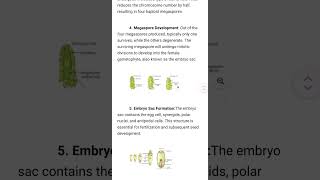 sexualreproductioninfloweringplantsclass12 megasporogenesis viralvideo studymotivation student [upl. by Giustina114]