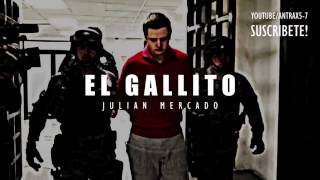 el gallito julian mercado 2017 [upl. by Enrico141]