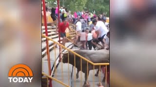 Bull Jumps Into Stands Injuring Dozens Of Spectators  TODAY [upl. by Neural722]