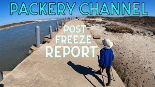 Packery Channel Corpus Christi  Post Freeze Report  Texas Freeze 2021 [upl. by Yehtomit]