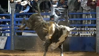 Highway 160 Bull Riding Extreme [upl. by Amy]