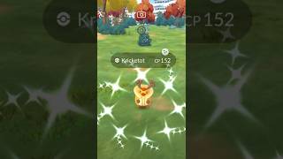 Shiny Kricketot Pokemon GO [upl. by Amilas267]