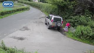 DISTRESSING Aberdare man caught abandoning rabbits in layby [upl. by Ecylla]